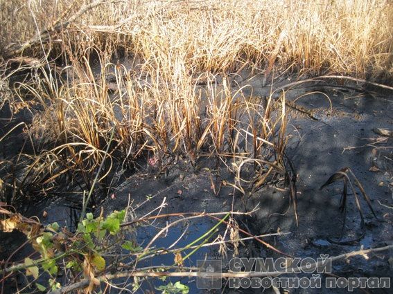 разлив нефти