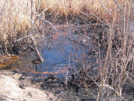 разлив нефти