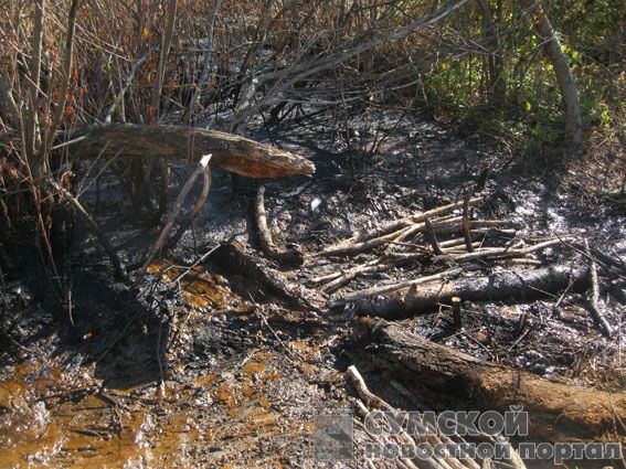 разлив нефти