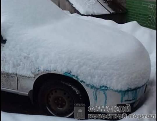 авто-зеленка