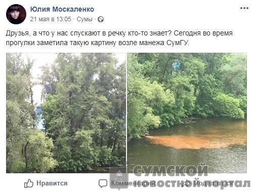 водоканал-гадит-2