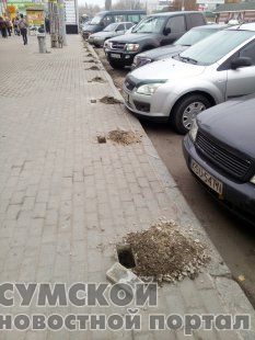 ограда-на-набережной-стрелки