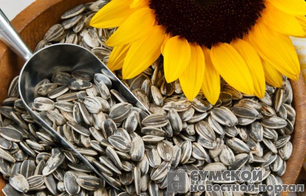 Владельцы торговой марки “Семки” уверяют, что им удалось уволить зам областного прокурора Сумщины семки