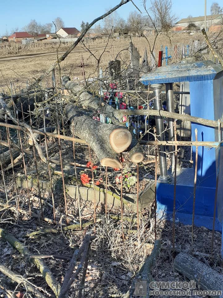 sumy-novosti-kladbishhe-vandalizm-nedrigajlov