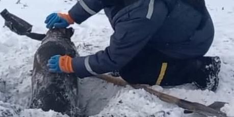 На Сумщине 100 килограммовая авиабомба угрожала нефтяной скважине sumy-novosti-bomba-ahtyrka